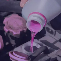 Vertiendo líquido rosa, ya sea anticongelante orgánico o inorgánico, en el motor de un coche.