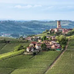 Weinberge umgeben das malerische Dorf Barbaresco in Italien. Ein hoher Turm ragt über die Dächer.