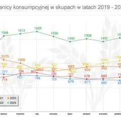 Po ile zboże w skupie – aktualne ceny i spadki na rynku zbóż