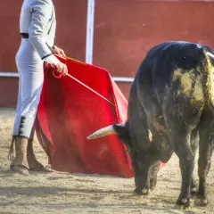 Un torero con traje de luces y capote rojo se enfrenta a un toro negro en la arena. La cuadrilla de toreros se prepara para el siguiente lance.