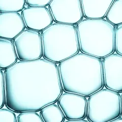 Nahaufnahme von Seifenblasen, die ein wabenartiges Muster bilden. Pentylene Glycol sorgt für die Stabilität dieser Struktur.