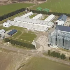 Jaka odległość chlewni od budynku mieszkalnego? Poznaj ważne przepisy
