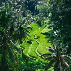 Lazy Z Spa Ubud: Polska oaza relaksu na Bali czy warto?