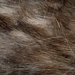 Nahaufnahme von braunem Katzenfell mit vielen kleinen weißen Schuppen. Die Katze hat Schuppen, die sich im Fell zeigen.