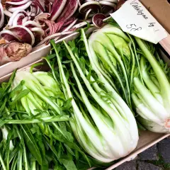 Catalogna verdura fresca e croccante, con radicchio viola in primo piano. Un cesto di bontà salutare.