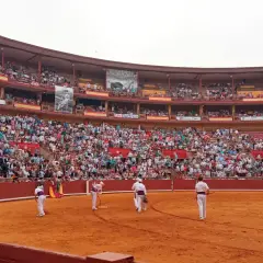 Toros en la grada seis. Multitud expectante en la plaza de toros, con toreros preparándose en la arena.