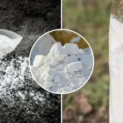 Wapno palone zastosowanie: rozsypywanie na ziemi, stos białego proszku i bielenie pnia drzewa.