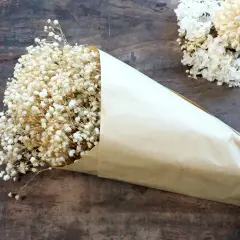 Un bouquet de gypsophile séché, emballé dans du papier kraft, prêt pour un projet de bricolage. Comment faire sécher du gypsophile.
