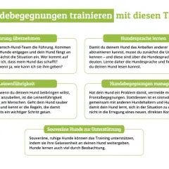 Hund bellt andere Hunde an? Lerne Hundesprache, um die Ursachen zu verstehen und deinem Hund zu helfen, ruhiger zu bleiben.