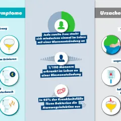 Symptome einer Blasenentzündung: starker Harndrang, tröpfchenweises Wasserlassen, Schmerzen beim Urinieren, nächtlicher Harndrang, Krämpfe im Unterbauch, unangenehmer Urin.