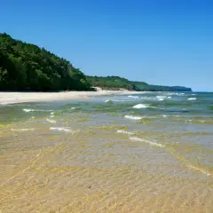 Piękne, dzikie plaże w Polsce. Spokojne fale Bałtyku obmywają piaszczysty brzeg, a las sosnowy tworzy zieloną ścianę w tle.