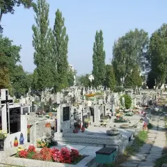 Ile za miejsce na cmentarzu? Ceny i czynniki wpływające na koszty