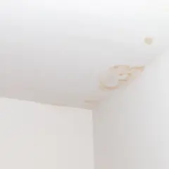 Plamy na białym suficie i ścianie w rogu pomieszczenia.