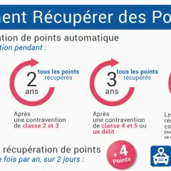 Infographie expliquant la récupération de points du permis : automatique après 6 mois, 2, 3 ou 10 ans sans infraction, ou via un stage volontaire pour une récupération de points.