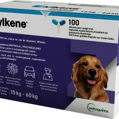 Jakie leki na uspokojenie dla psa pomogą w walce z lękiem?