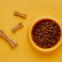 Purina dla psa: Dobra karma? Zależy! Sprawdź, co w misce