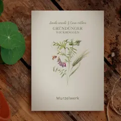 Eine botanische Illustration zeigt eine Biene, die eine lila Blüte der Wicke umkreist, neben einem Grashalm. Der Titel "Gründünger Wickroggen" deutet auf die Verwendung als Bodendecker hin.