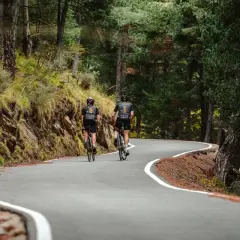 Ciclistas disfrutan de una ruta escénica en Andorra, pedaleando por un camino sinuoso rodeado de bosques frondosos.