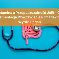 Glutamina co to? Model jelit i stetoskop na niebieskim tle. Tytuł: "Glutamina a Przepuszczalność Jelit – Czy Suplementacja Rzeczywiście Pomaga? Nowe Wyniki Badań".