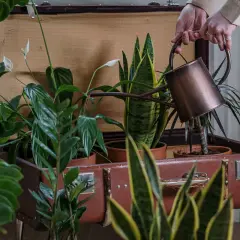 Jak zbudować trwały drewniany kwietnik DIY? Pełny poradnik.