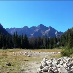 Widok na Tatry, szczyty Rysy 2499 czy 2503 w oddali, las i kamienista dolina.