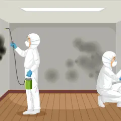 Osoby w kombinezonach ochronnych walczą z pleśnią i wilgocią, pokazując, jak usunąć zapach stęchlizny z pomieszczenia.