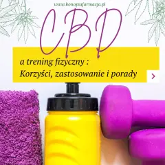 Co daje olejek CBD? Odkryj jego zaskakujące korzyści zdrowotne