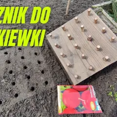 Jak zrobić znacznik do siania warzyw - proste kroki i porady