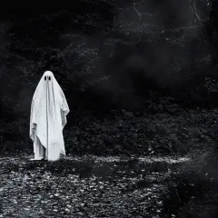 Widmo w lesie, jak z horrorów na faktach o duchach. Ciemność, liście i przerażająca postać w bieli.