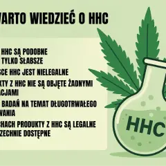 Co warto wiedzieć o HHC: efekty podobne do THC, ale słabsze. W Polsce nielegalne, produkty bez regulacji. Brak badań długoterminowych. W Czechach legalne i dostępne.