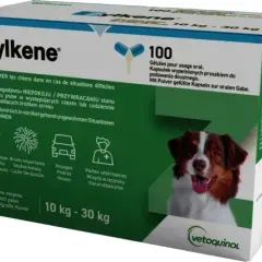 Leki dla psa: Gdzie kupić legalnie? Uniknij toksycznych pomyłek!