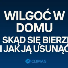 Wilgoć w domu: skąd się bierze i jak ją usunąć? Dowiedz się, jak walczyć z niechcianą wilgocią.