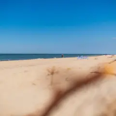 Słoneczna plaża w Niechorzu, idealne miejsce na relaks. W oddali widać ludzi spacerujących brzegiem morza.