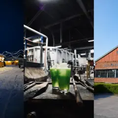 Vinterkväll vid Rejmyre hantverksby, gröna drinkar i en verkstad och Rejmyre Glasbruks fasad.