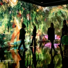 Ludzie spacerują po sali, gdzie ściany pokryte są projekcjami obrazów impresjonistów. To niesamowite art box experience.