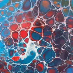 Peinture abstraite aux couleurs vives, évoquant des bulles d'air ou des cellules. Des formes rondes rouges, bleues et oranges sont séparées par un réseau blanc.