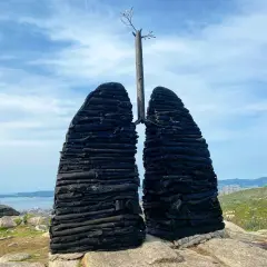 Escultura de pulmones de madera quemada en el Castro de Chandebrito, con un árbol brotando en el centro.