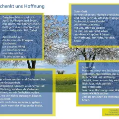 Blühende Bäume im April, dazu Texte über Hoffnung und Vertrauen. Ein evangelischer Text zum Thema evangelisch fasten.