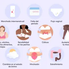 Síntomas de embarazo: señales que no puedes ignorar en tu cuerpo