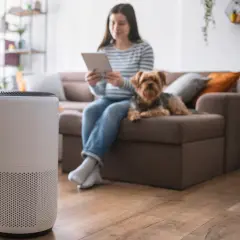 Purificador de aire en primer plano, mientras una mujer y su perro disfrutan del hogar, demostrando los beneficios de un purificador de aire para un ambiente más saludable.