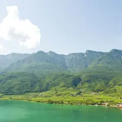 Türkiser Kalterer See mit grünen Weinbergen und Bergen im Hintergrund.