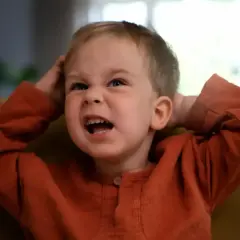 Niño de 3 años con expresión de frustración, agarrándose la cabeza. ¡Los terribles 3 años en todo su esplendor!