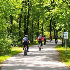 Grupa rowerzystów przemierza malownicze trasy rowerowe Trójmiasta, otoczona bujną zielenią.