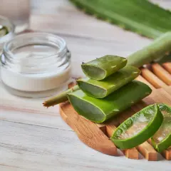 Frische Aloe Vera-Scheiben und eine Creme deuten auf die wohltuende aloe vera gel wirkung für die Haut hin.