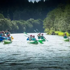Flisacy ze Szczawnicy na tratwie i kajakami przemierzają malowniczy Dunajec, otoczeni bujną zielenią.