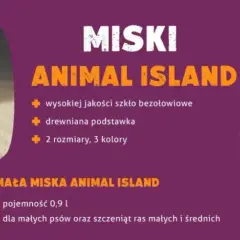 Jak wybrać idealną miskę dla psa - unikaj najczęstszych błędów