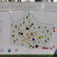 Mapa rezerwatu w Czersku z zaznaczonymi atrakcjami: kręgami kamiennymi, kurhanami, rzeką Wdą i trasami zwiedzania.