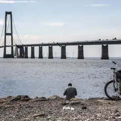 En man sitter vid vattnet med sin cykel, blickandes mot den imponerande Stora Bältbron.