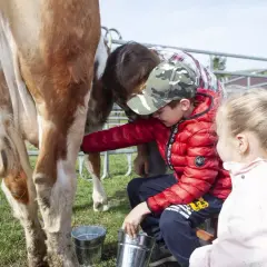 Zagroda edukacyjna: Więcej niż agroturystyka pełny przewodnik