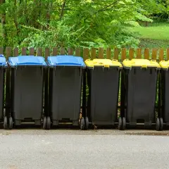 Do jakich śmieci wyrzucić żarówkę - kompletny poradnik segregacji